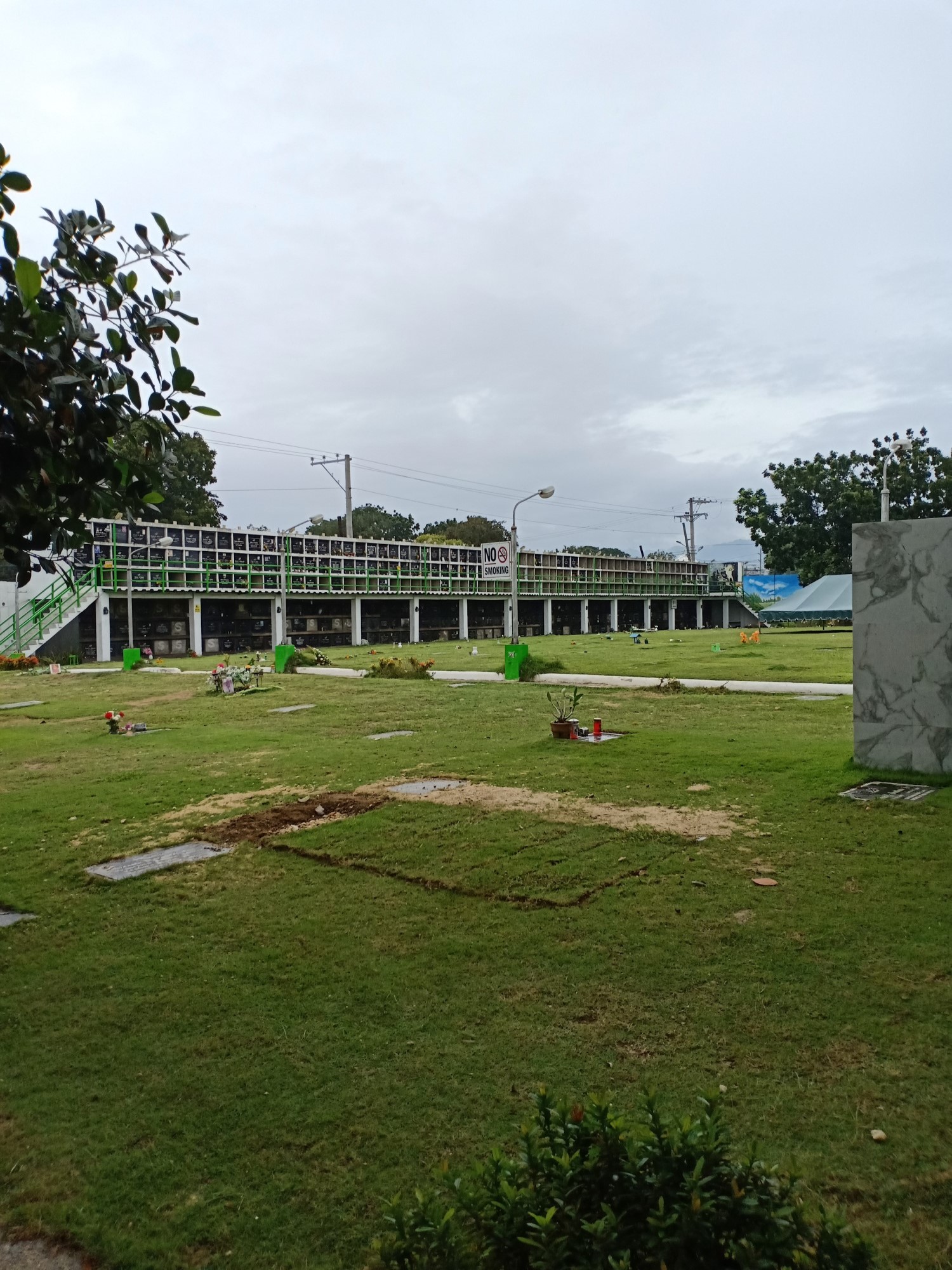 lawn services2