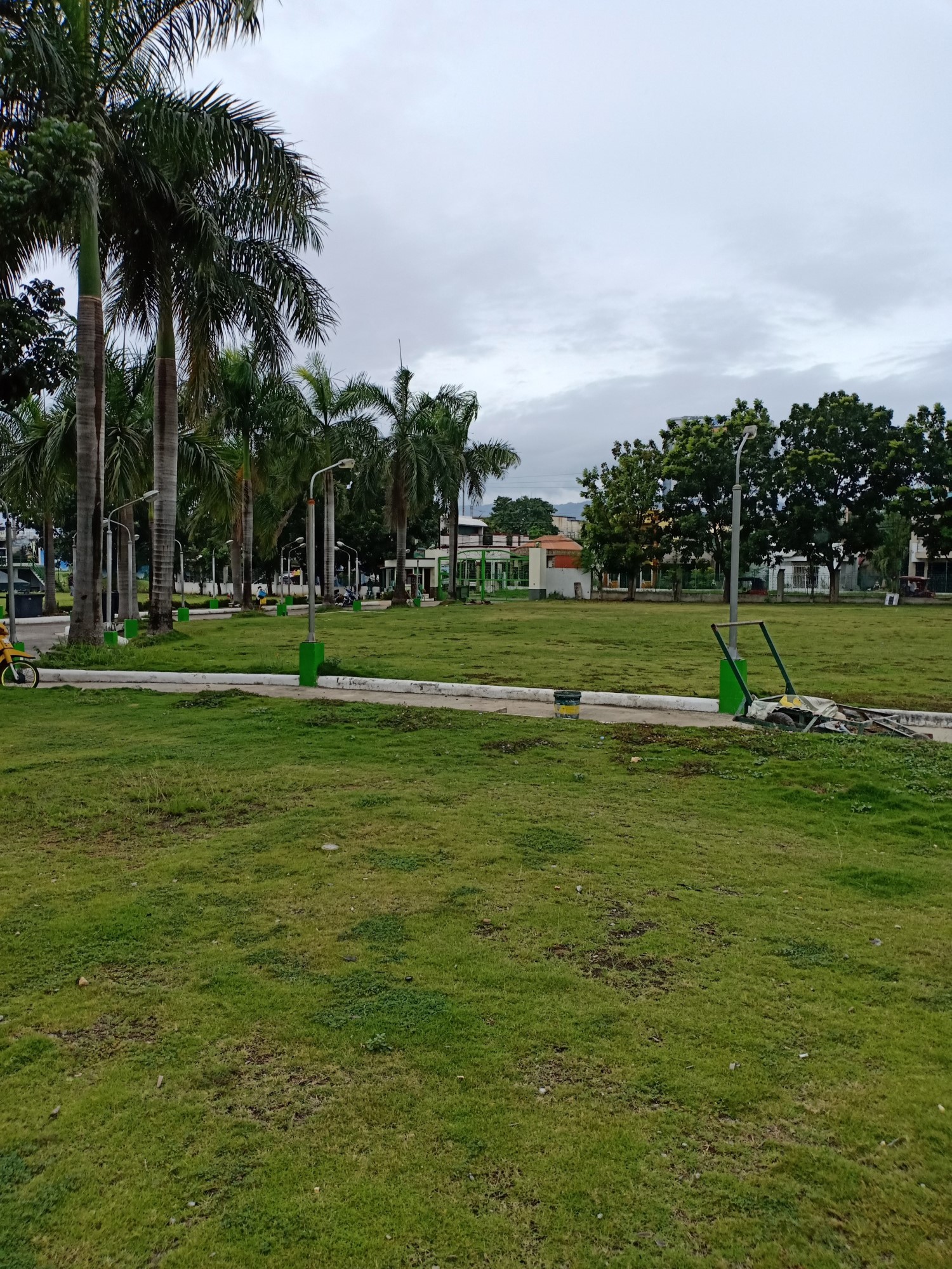 lawn services3